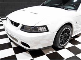2003 Ford Mustang SVT Cobra (CC-1957494) for sale in Addison, Illinois