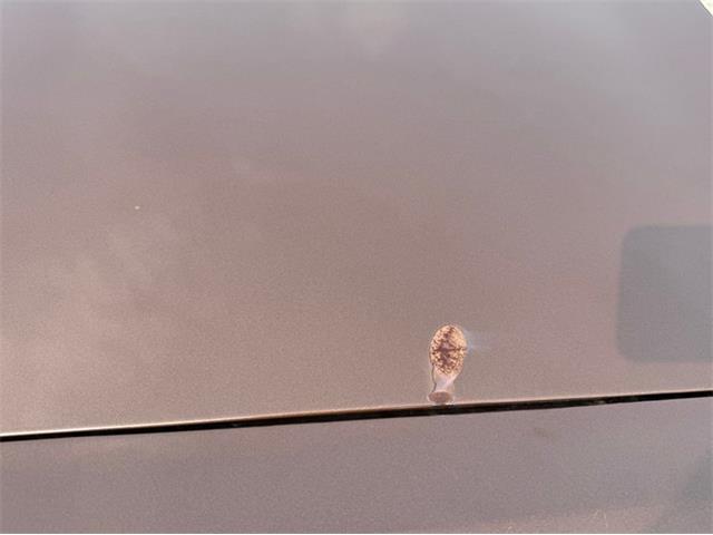 1970 Plymouth GTX (CC-1957533) for sale in Celeste, Texas