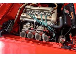 1965 Alfa Romeo Giulia Spider (CC-1957970) for sale in Jacksonville, Florida