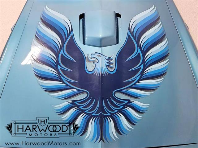 1979 Pontiac Firebird Trans Am (CC-1958162) for sale in Macedonia, Ohio