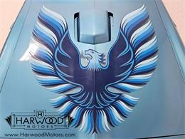 1979 Pontiac Firebird Trans Am (CC-1958162) for sale in Macedonia, Ohio