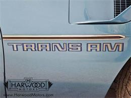 1979 Pontiac Firebird Trans Am (CC-1958162) for sale in Macedonia, Ohio