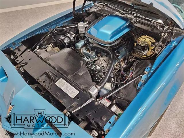 1979 Pontiac Firebird Trans Am (CC-1958162) for sale in Macedonia, Ohio