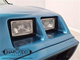 1979 Pontiac Firebird Trans Am (CC-1958162) for sale in Macedonia, Ohio