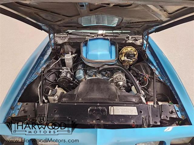 1979 Pontiac Firebird Trans Am (CC-1958162) for sale in Macedonia, Ohio