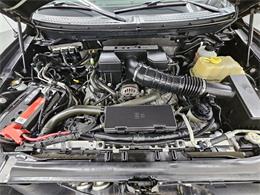 2010 Ford F150 (CC-1958278) for sale in Spring City, Pennsylvania