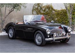 1954 Austin-Healey 100-4 (CC-1958387) for sale in Beverly Hills, California
