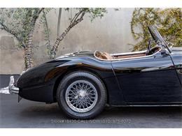 1954 Austin-Healey 100-4 (CC-1958387) for sale in Beverly Hills, California