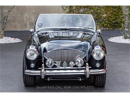 1954 Austin-Healey 100-4 (CC-1958387) for sale in Beverly Hills, California