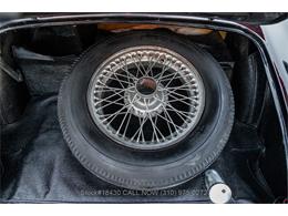 1954 Austin-Healey 100-4 (CC-1958387) for sale in Beverly Hills, California