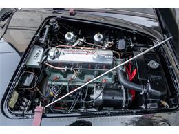 1954 Austin-Healey 100-4 (CC-1958387) for sale in Beverly Hills, California