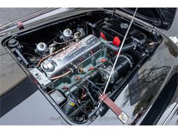 1954 Austin-Healey 100-4 (CC-1958387) for sale in Beverly Hills, California