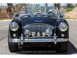 1954 Austin-Healey 100-4 (CC-1958387) for sale in Beverly Hills, California