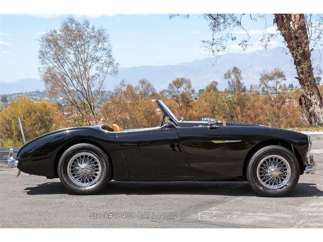 1954 Austin-Healey 100-4 (CC-1958387) for sale in Beverly Hills, California