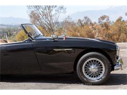 1954 Austin-Healey 100-4 (CC-1958387) for sale in Beverly Hills, California