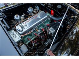 1954 Austin-Healey 100-4 (CC-1958387) for sale in Beverly Hills, California