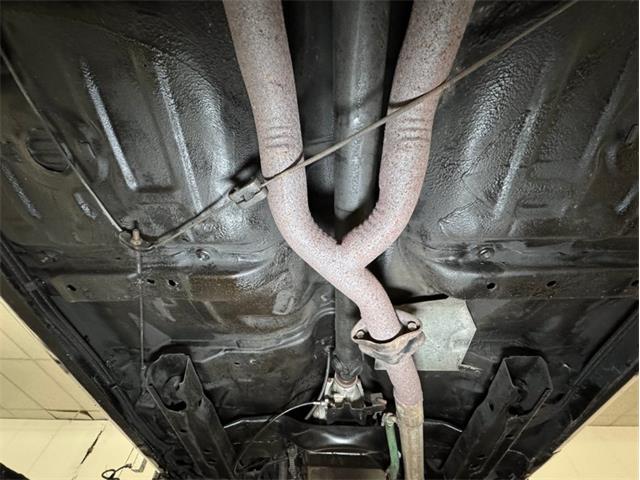 1981 Pontiac Firebird (CC-1959311) for sale in Morgantown, Pennsylvania
