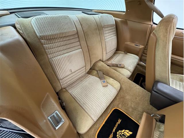 1981 Pontiac Firebird (CC-1959311) for sale in Morgantown, Pennsylvania