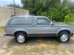1989 Chevrolet S10 Blazer (CC-1959658) for sale in Mill Hall, Pennsylvania