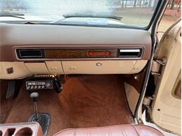 1976 Chevrolet Blazer (CC-1962283) for sale in North Shores, Michigan