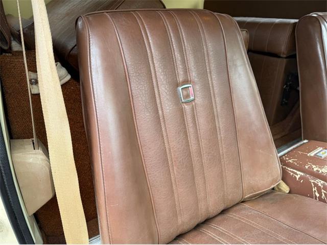 1976 Chevrolet Blazer (CC-1962283) for sale in North Shores, Michigan
