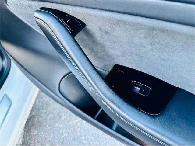2019 Tesla Model 3 (CC-1963168) for sale in Cadillac, Michigan