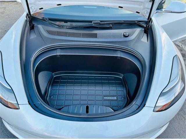 2019 Tesla Model 3 (CC-1963168) for sale in Cadillac, Michigan
