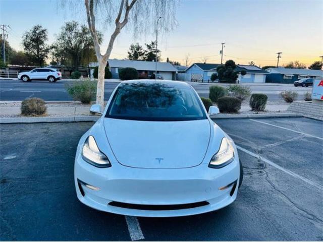 2019 Tesla Model 3 (CC-1963168) for sale in Cadillac, Michigan