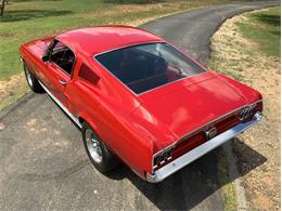 1967 Ford Mustang (CC-1960319) for sale in Fredericksburg, Texas