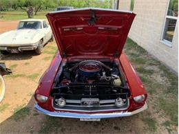 1967 Ford Mustang (CC-1960319) for sale in Fredericksburg, Texas