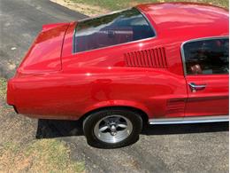 1967 Ford Mustang (CC-1960319) for sale in Fredericksburg, Texas