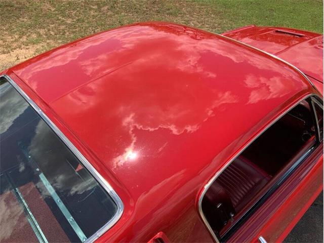 1967 Ford Mustang (CC-1960319) for sale in Fredericksburg, Texas