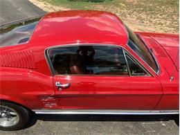 1967 Ford Mustang (CC-1960319) for sale in Fredericksburg, Texas