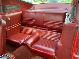 1967 Ford Mustang (CC-1960319) for sale in Fredericksburg, Texas