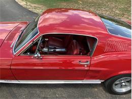 1967 Ford Mustang (CC-1960319) for sale in Fredericksburg, Texas