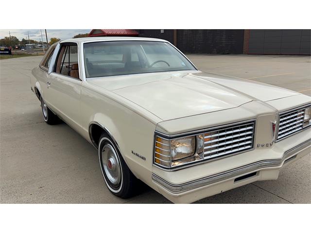 1980 Pontiac LeMans (CC-1963248) for sale in Annandale, Minnesota