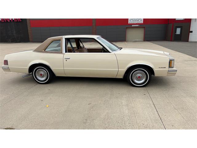 1980 Pontiac LeMans (CC-1963248) for sale in Annandale, Minnesota