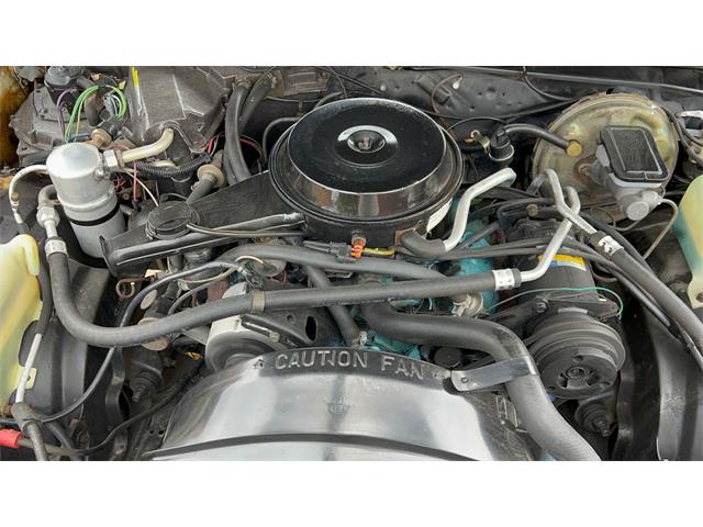 1980 Pontiac LeMans (CC-1963248) for sale in Annandale, Minnesota