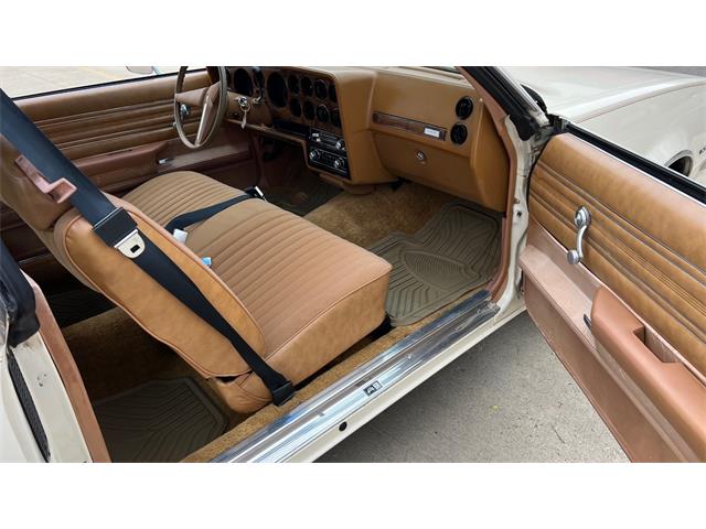 1980 Pontiac LeMans (CC-1963248) for sale in Annandale, Minnesota