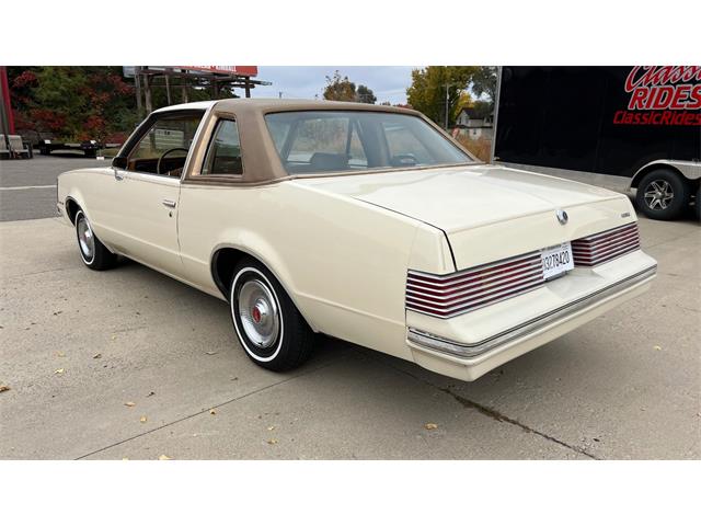 1980 Pontiac LeMans (CC-1963248) for sale in Annandale, Minnesota