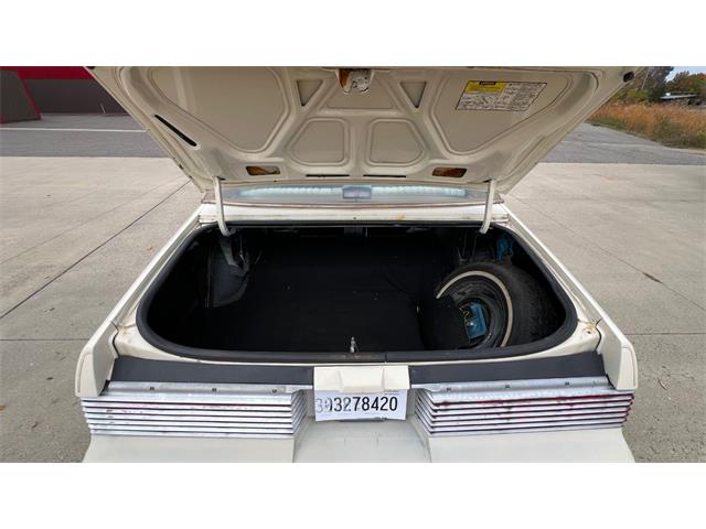 1980 Pontiac LeMans (CC-1963248) for sale in Annandale, Minnesota