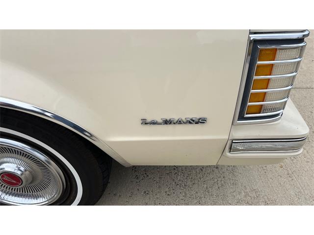 1980 Pontiac LeMans (CC-1963248) for sale in Annandale, Minnesota