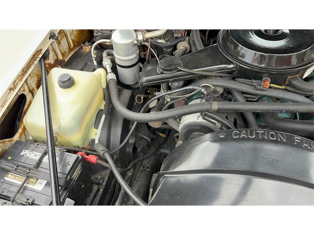1980 Pontiac LeMans (CC-1963248) for sale in Annandale, Minnesota