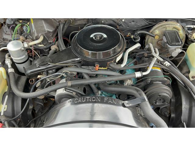 1980 Pontiac LeMans (CC-1963248) for sale in Annandale, Minnesota