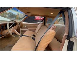 1980 Pontiac LeMans (CC-1963248) for sale in Annandale, Minnesota
