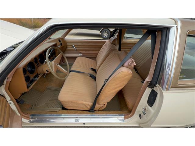 1980 Pontiac LeMans (CC-1963248) for sale in Annandale, Minnesota