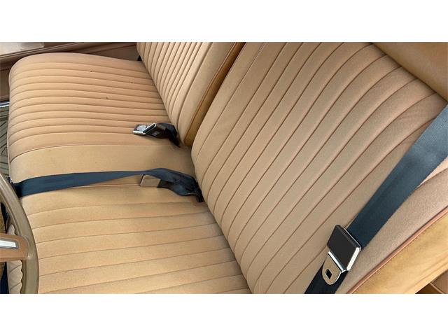1980 Pontiac LeMans (CC-1963248) for sale in Annandale, Minnesota