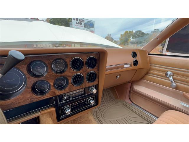 1980 Pontiac LeMans (CC-1963248) for sale in Annandale, Minnesota