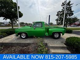 1981 Chevrolet C/K 10 (CC-1963411) for sale in Joliet, Illinois