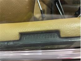 1975 Chevrolet Corvette (CC-1963739) for sale in Orlando, Florida